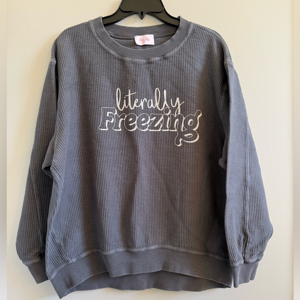 Pink Lily “Literally Freezing” corded sweatshirt, blue, vguc, Medium